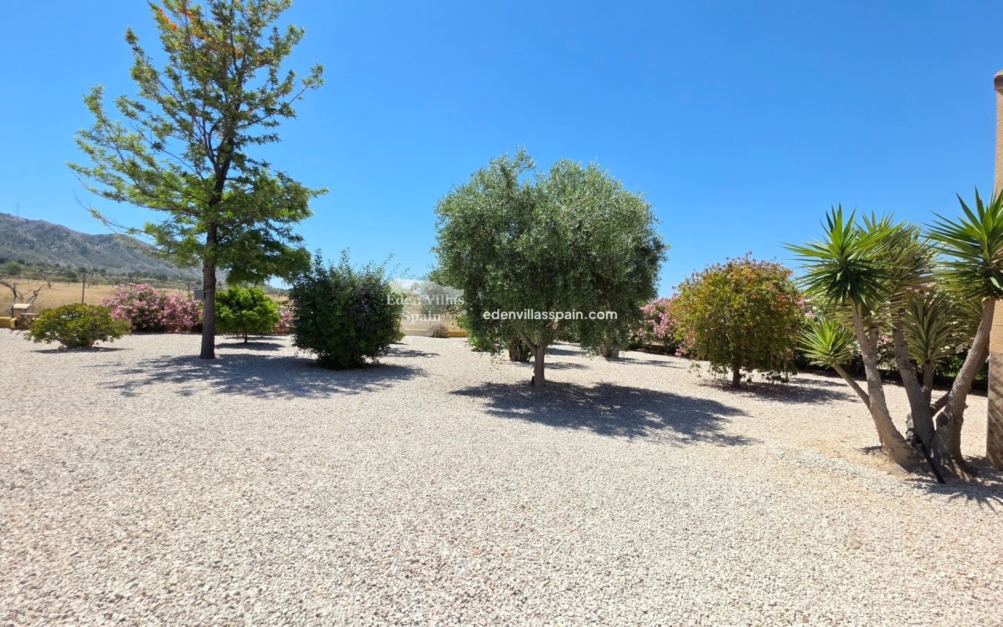 Immobilien Zweiter Hand - Landhaus - Abanilla