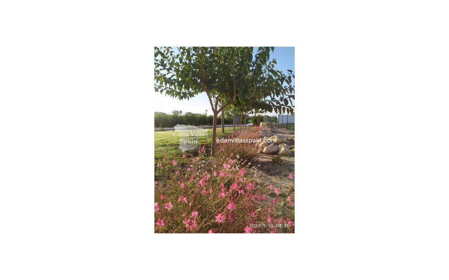 Immobilien Zweiter Hand - Landhaus - Catral