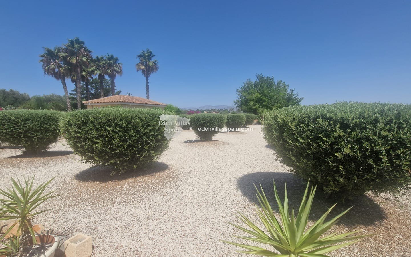 Immobilien Zweiter Hand - Landhaus - Catral