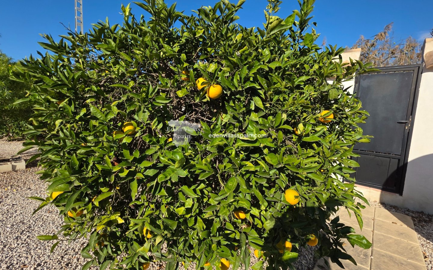 Immobilien Zweiter Hand - Landhaus - Catral