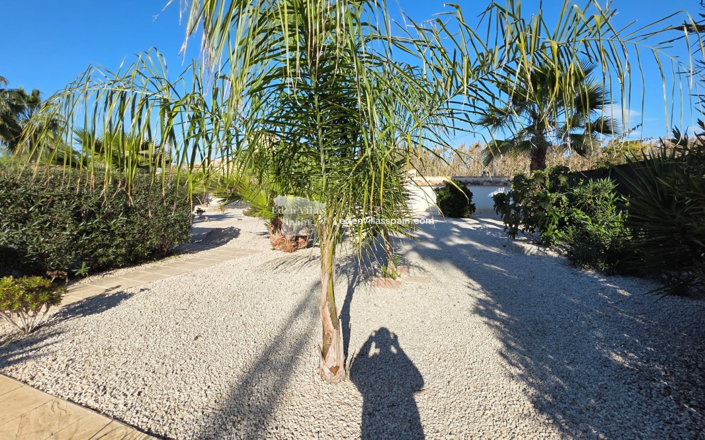 Immobilien Zweiter Hand - Landhaus - Catral