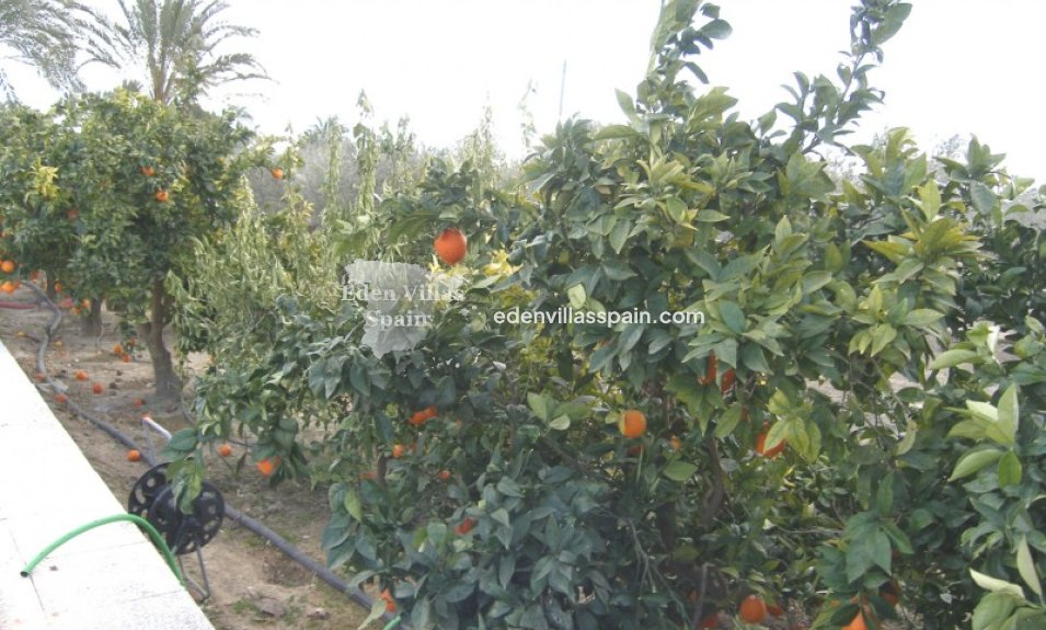 Immobilien Zweiter Hand - Landhaus - Elche