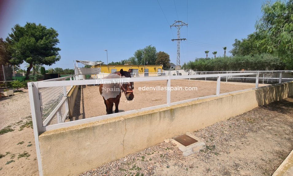 Immobilien Zweiter Hand - Landhaus - La Marina