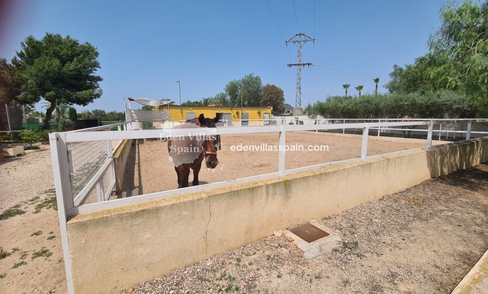 Immobilien Zweiter Hand - Landhaus - La Marina