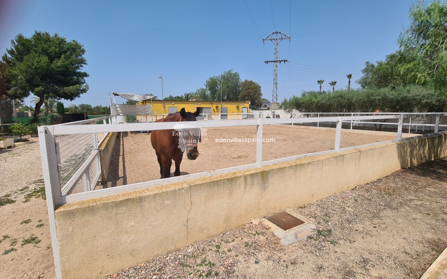 Immobilien Zweiter Hand - Landhaus - La Marina