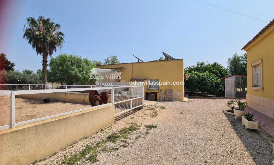 Immobilien Zweiter Hand - Landhaus - La Marina