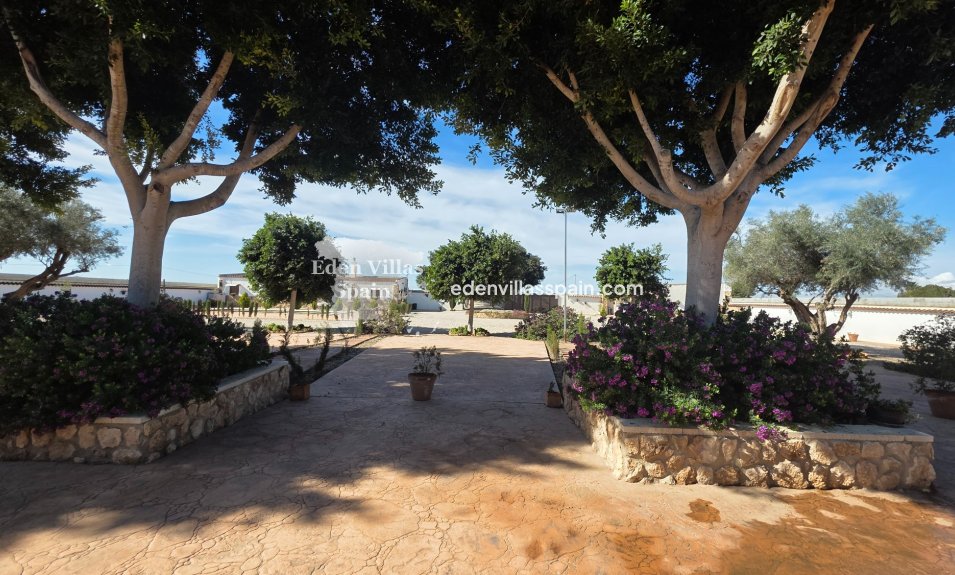 Immobilien Zweiter Hand - Landhaus - San Fulgencio