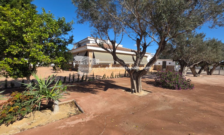 Immobilien Zweiter Hand - Landhaus - San Fulgencio