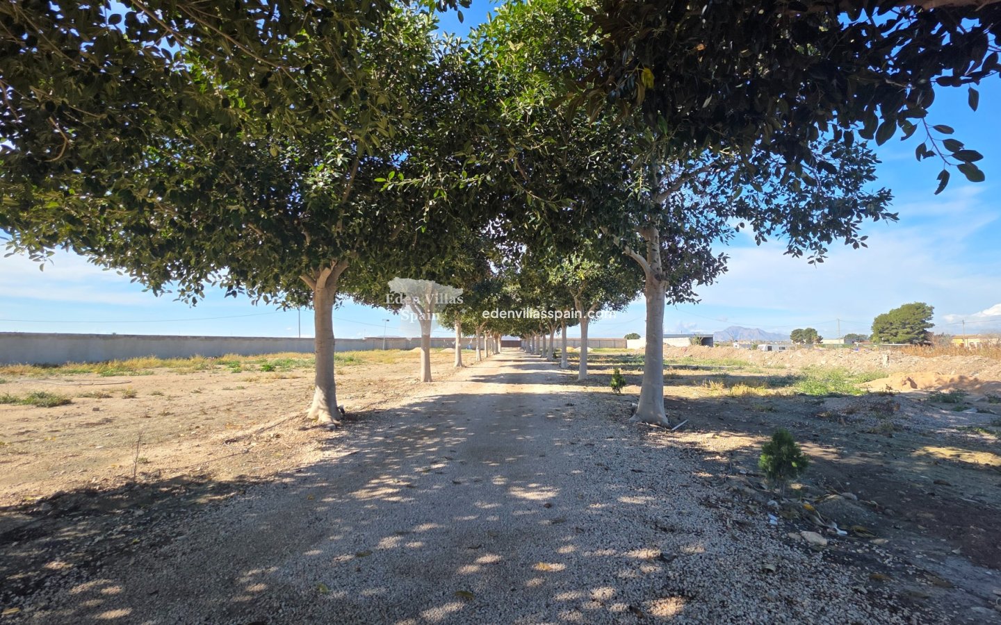 Immobilien Zweiter Hand - Landhaus - San Fulgencio