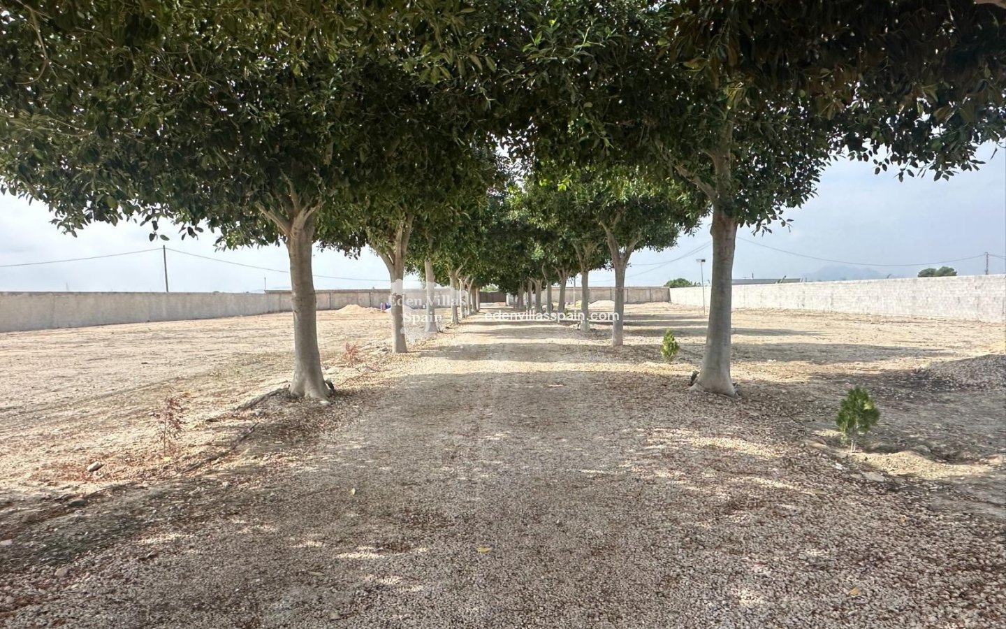 Immobilien Zweiter Hand - Landhaus - San Fulgencio