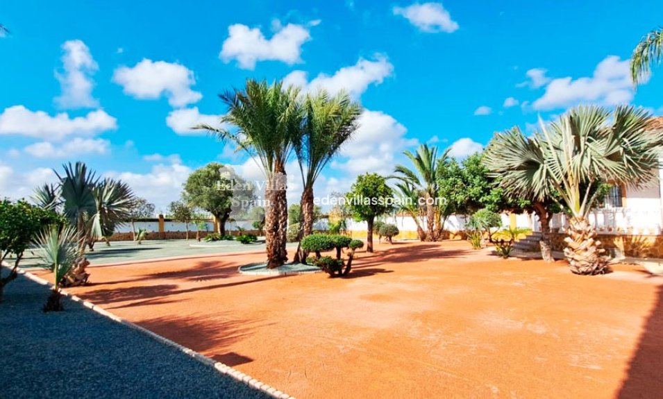 New Construction - Country House - Catral