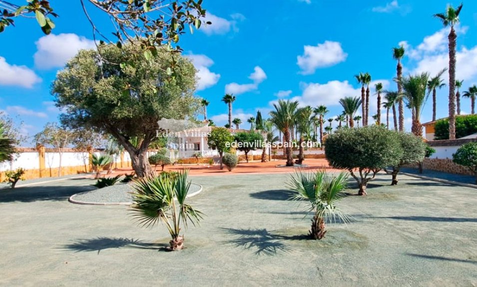 New Construction - Country House - Catral