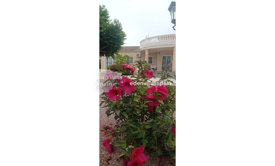 Resale - Coastal Villa - Catral