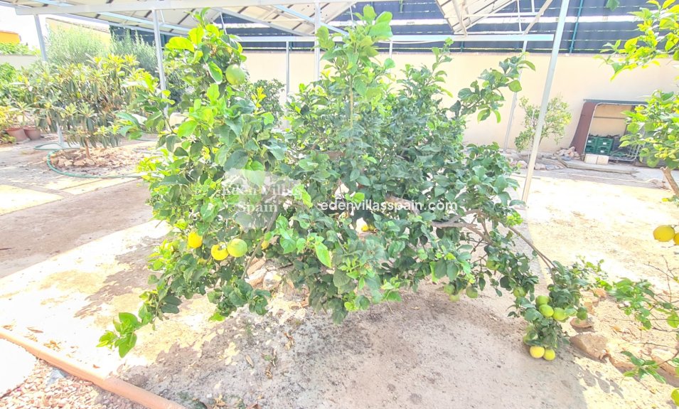 Resale - Coastal Villa - La Marina