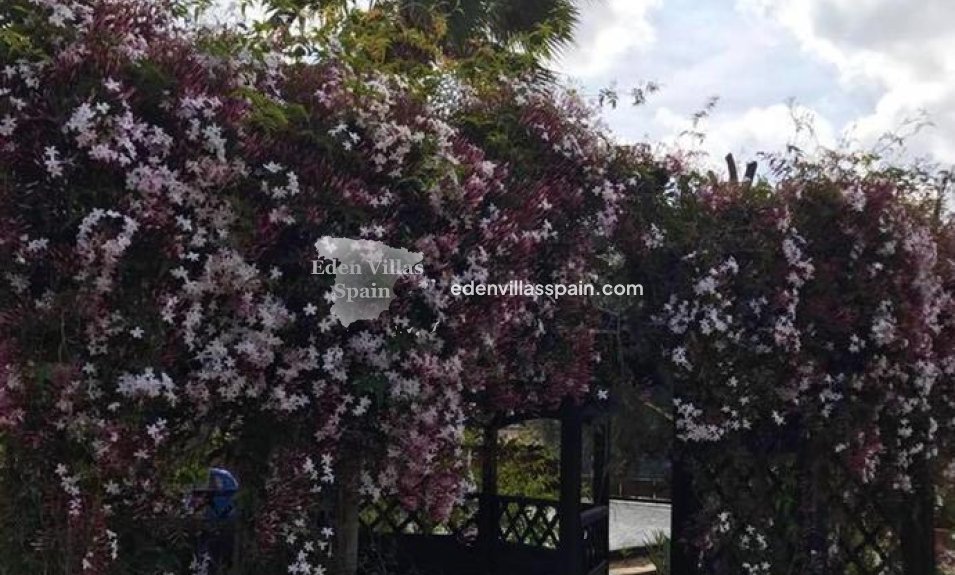 Resale - Country House - Catral