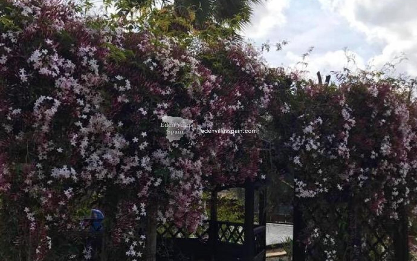 Resale - Country House - Catral
