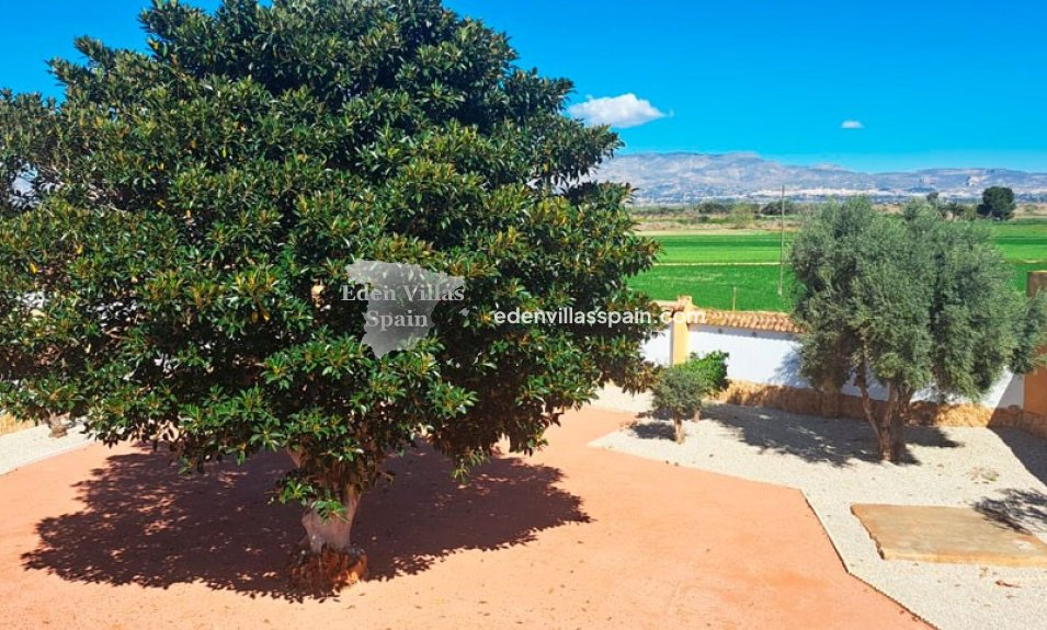 Resale - Country House - Catral