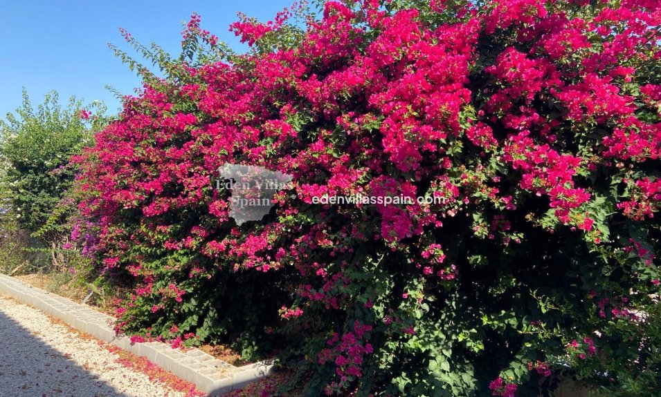 Resale - Country House - Catral