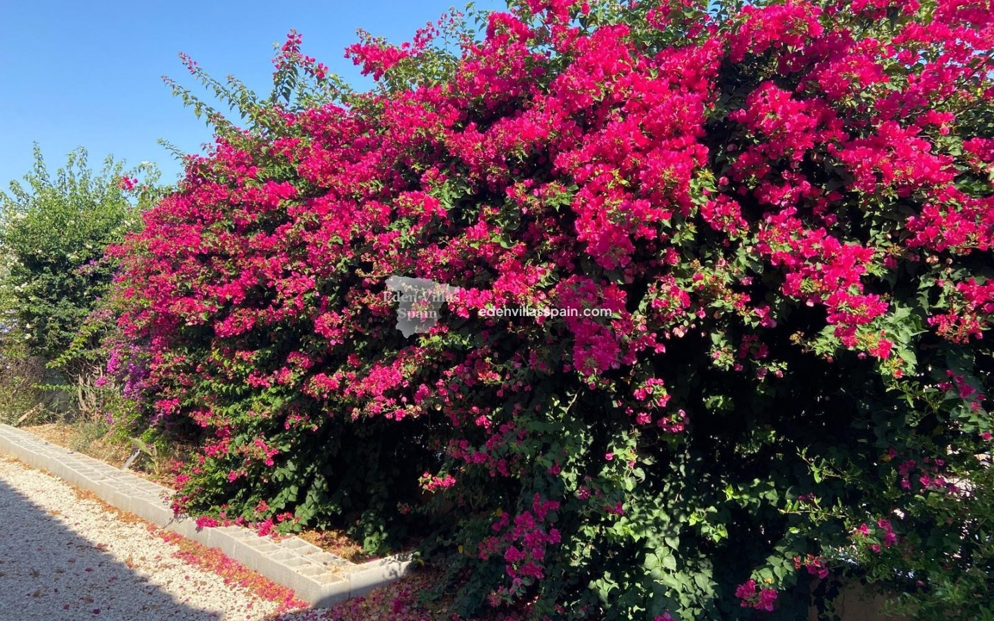 Resale - Country House - Catral