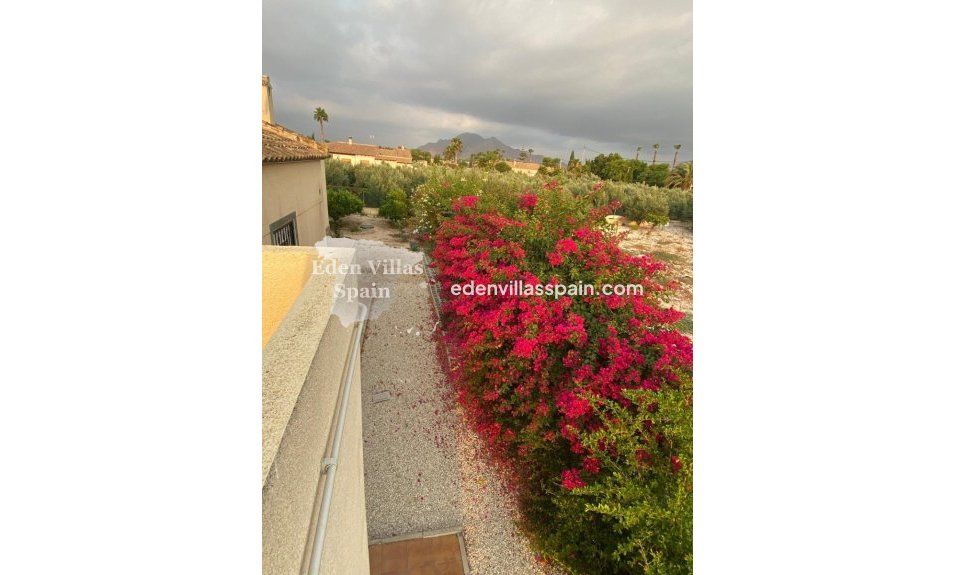 Resale - Country House - Catral