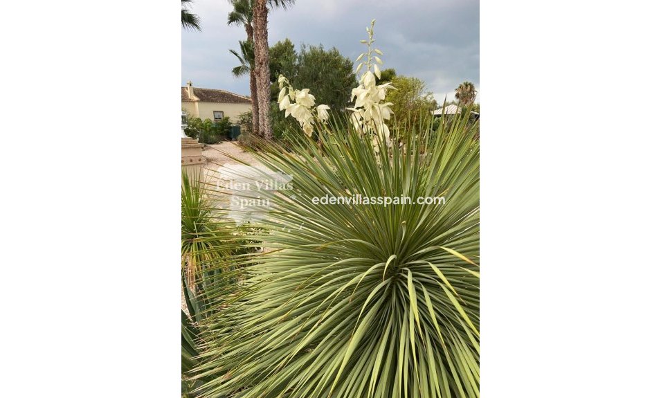 Resale - Country House - Catral