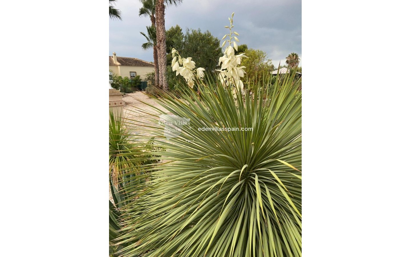 Resale - Country House - Catral