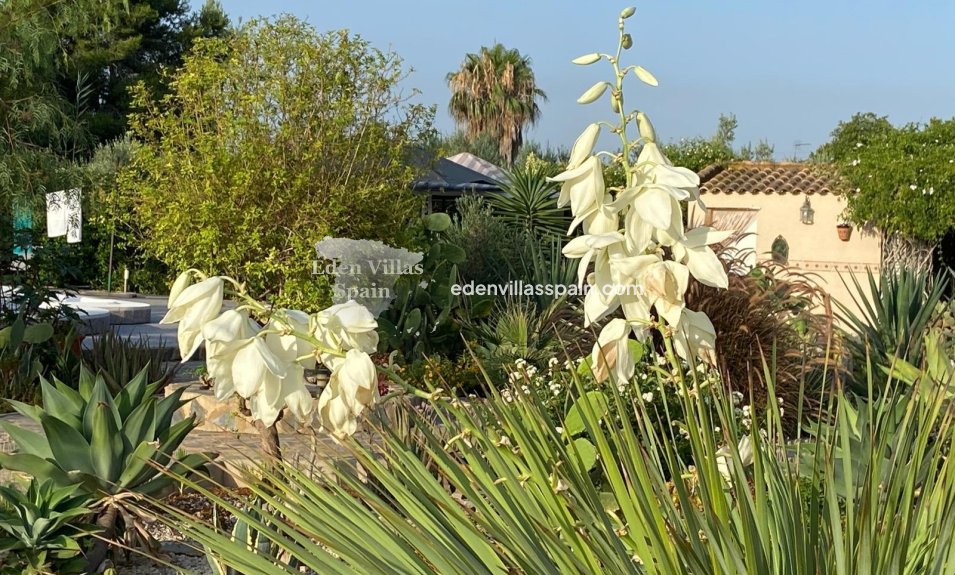 Resale - Country House - Catral