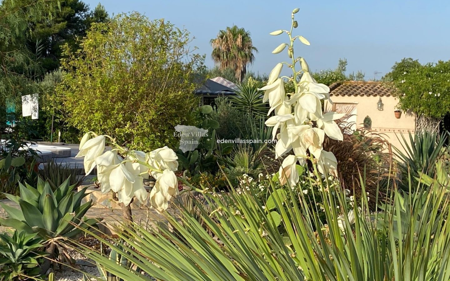 Resale - Country House - Catral