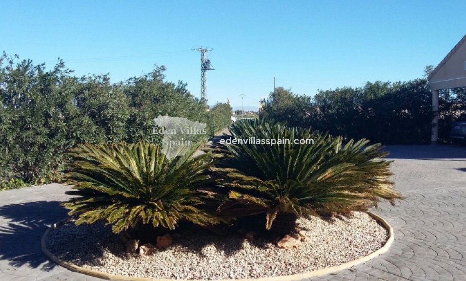 Resale - Country House - Daya Nueva