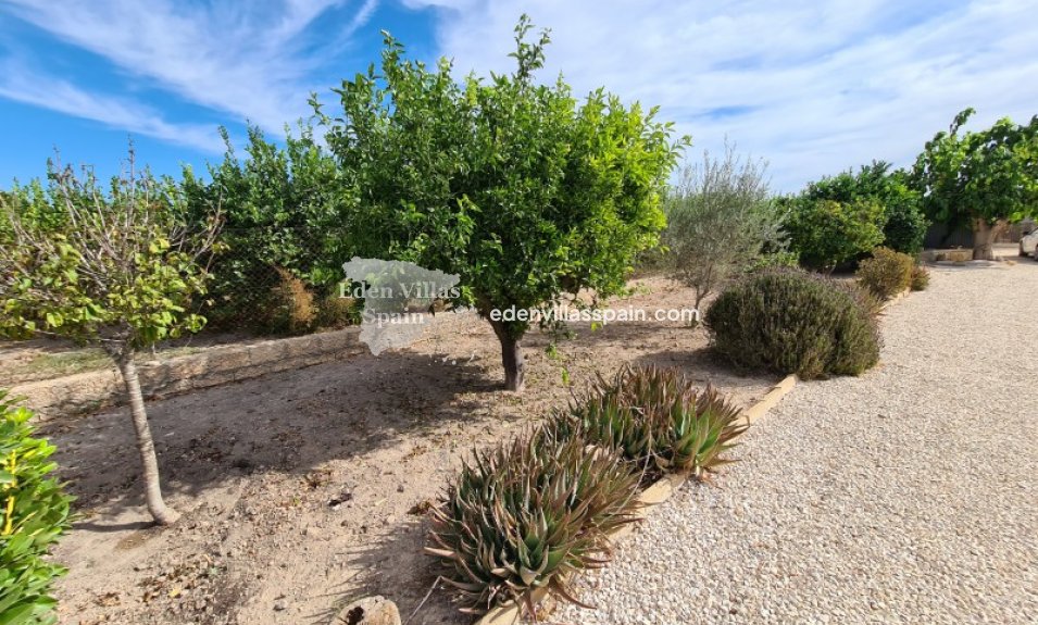 Resale - Country House - Elche