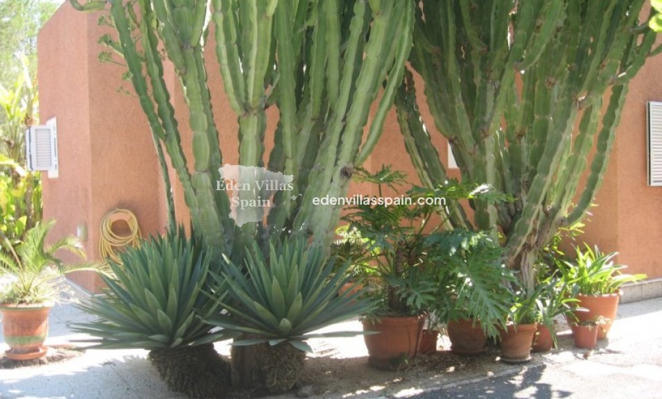 Resale - Country House - Elche