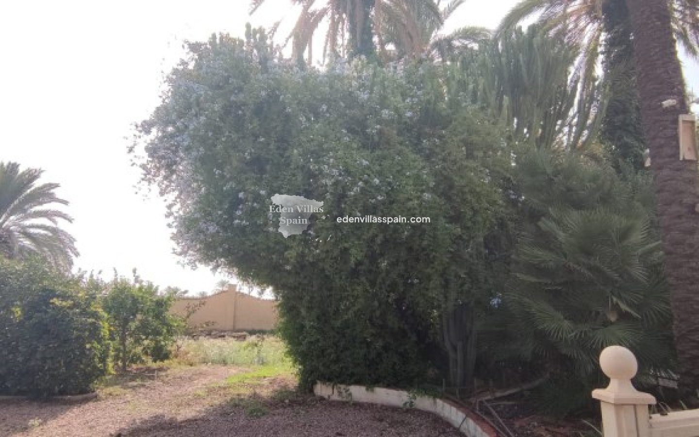 Resale - Country House - Elche