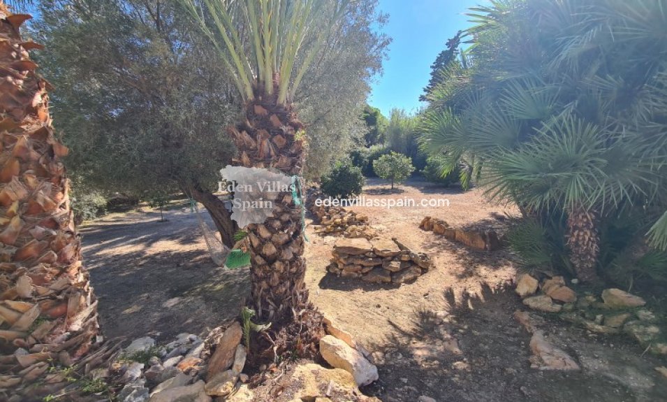 Resale - Country House - Elche