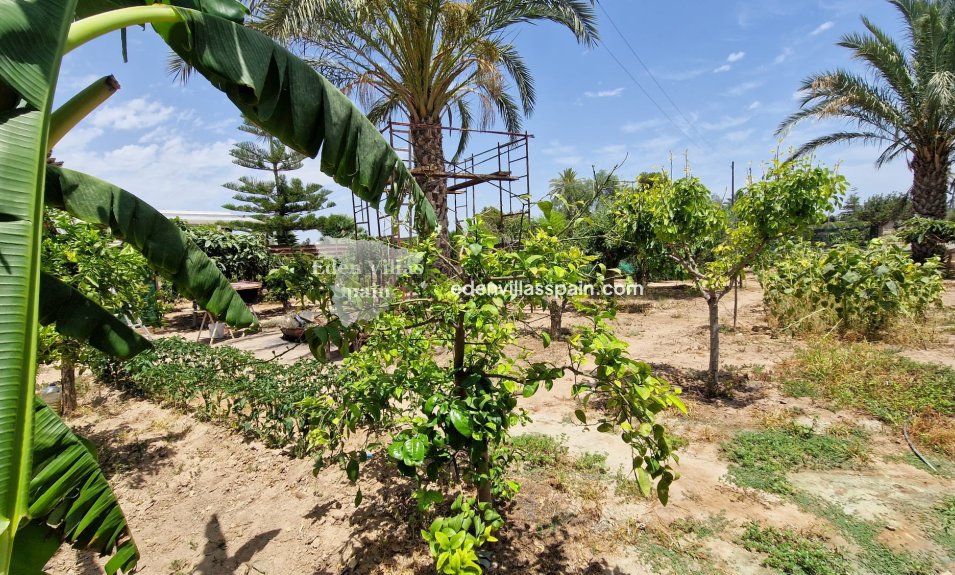 Resale - Country House - Elche