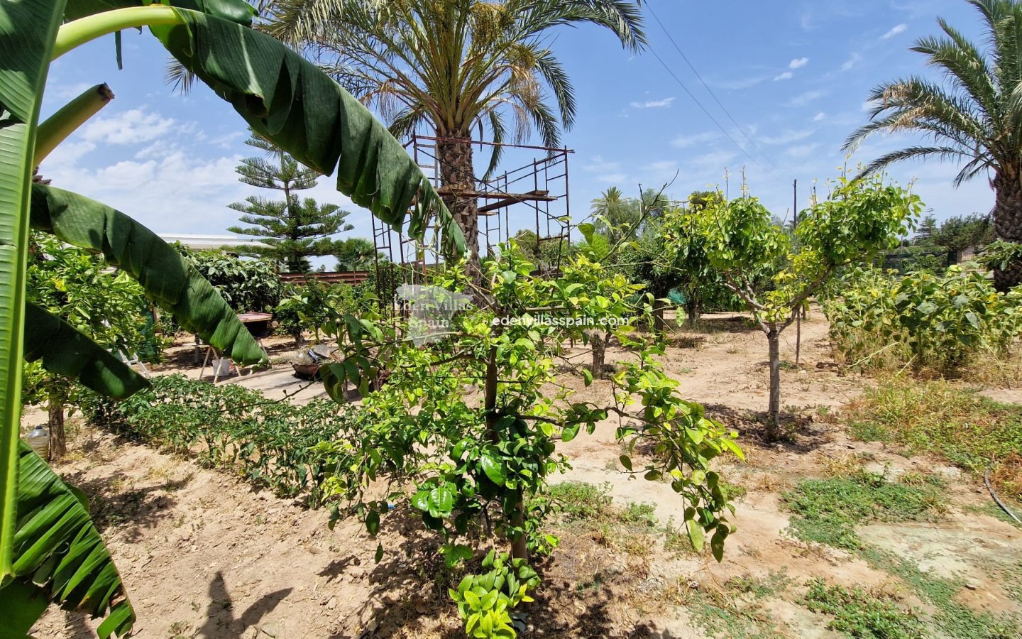Resale - Country House - Elche