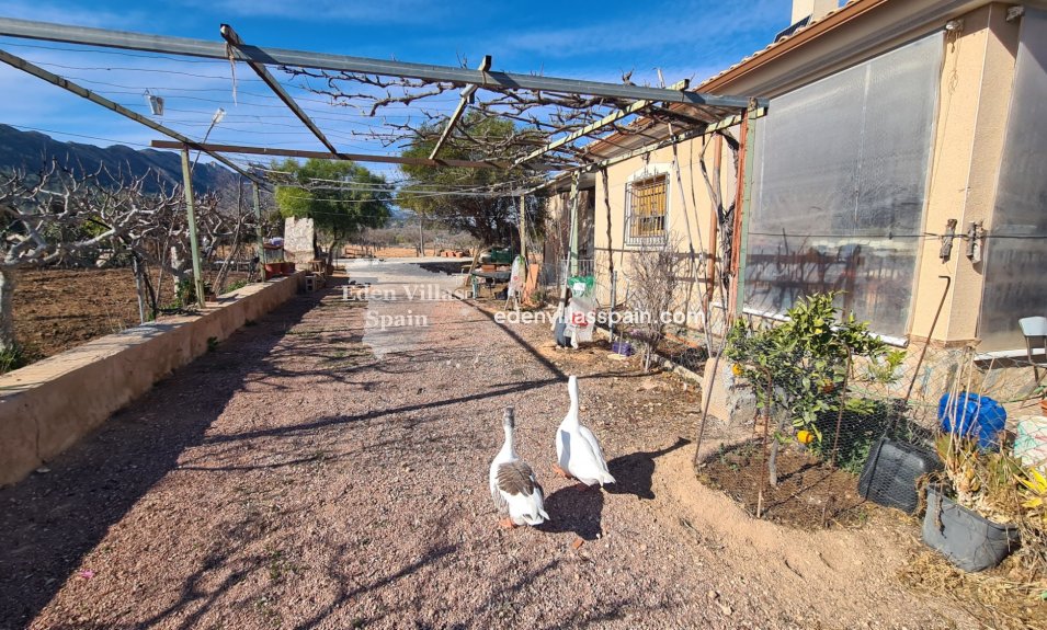 Resale - Country House - La Romana