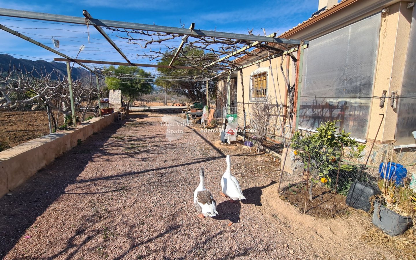 Resale - Country House - La Romana