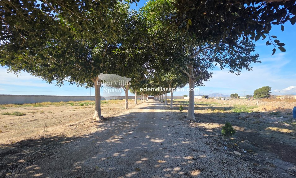 Resale - Country House - San Fulgencio