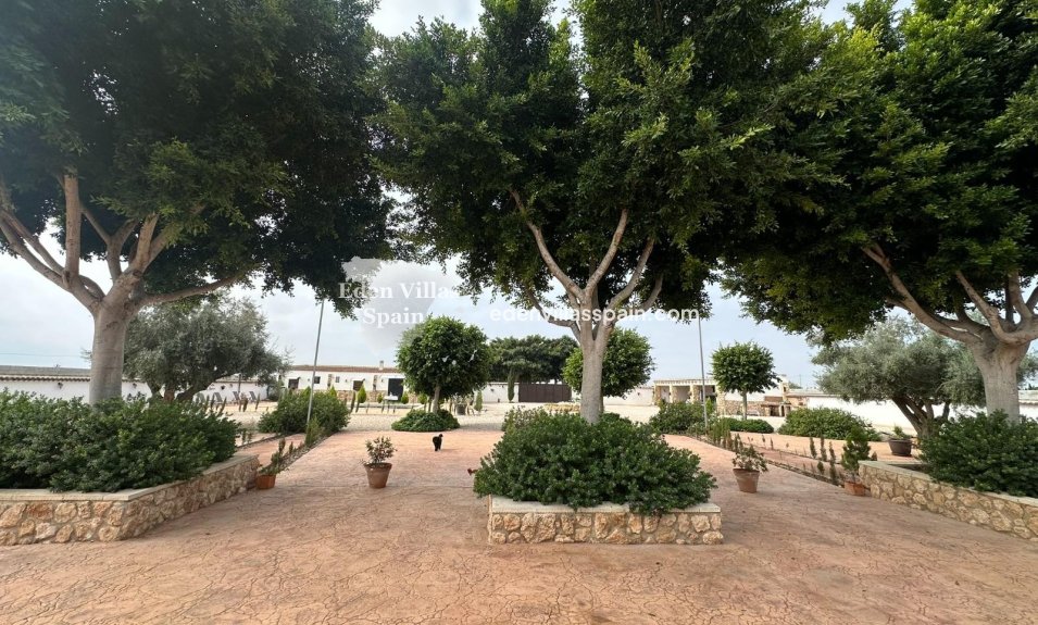 Resale - Country House - San Fulgencio