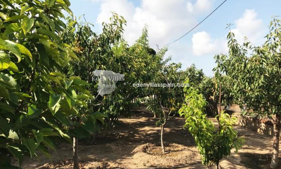 Resale - Country House - Santa Pola