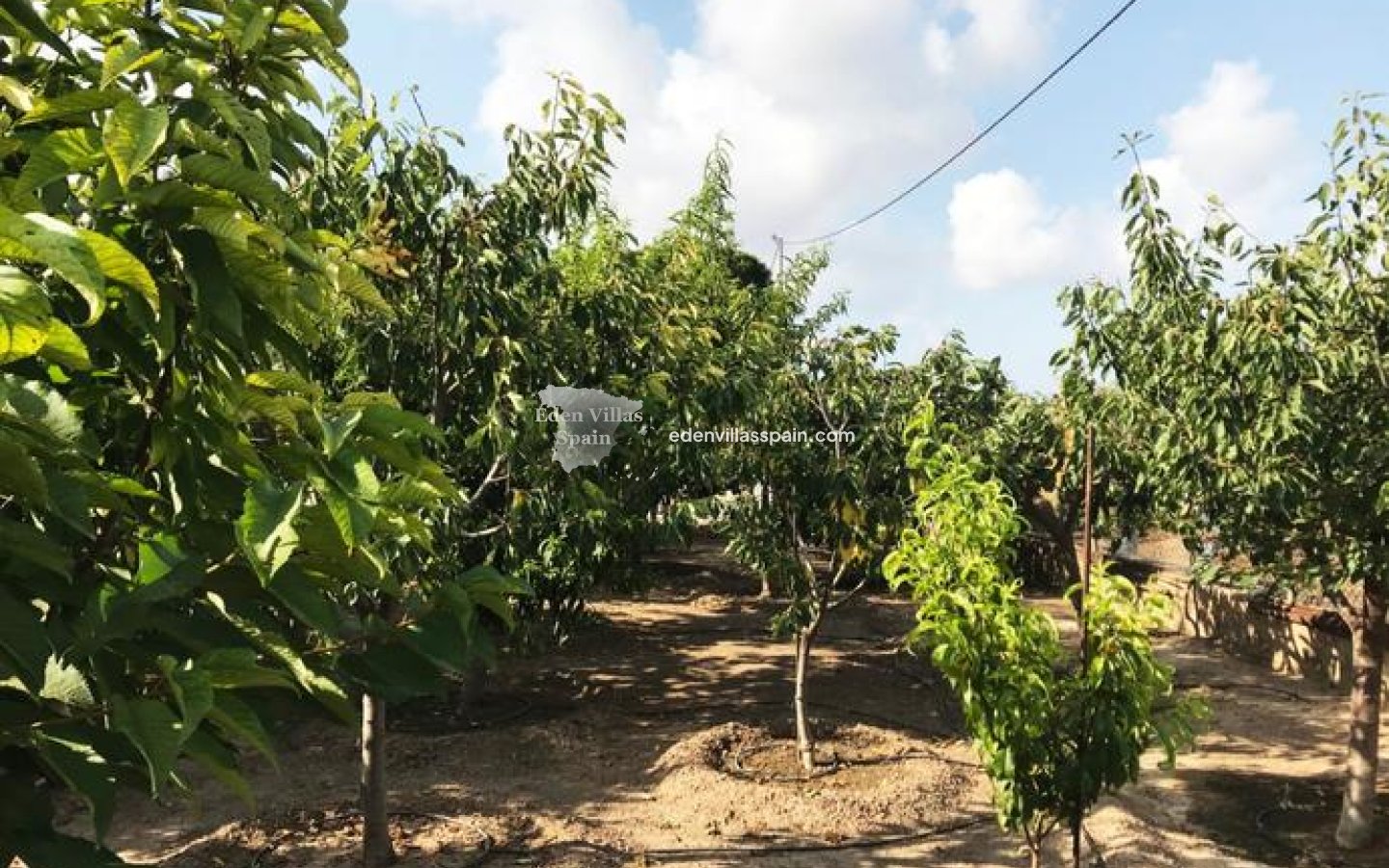 Resale - Country House - Santa Pola