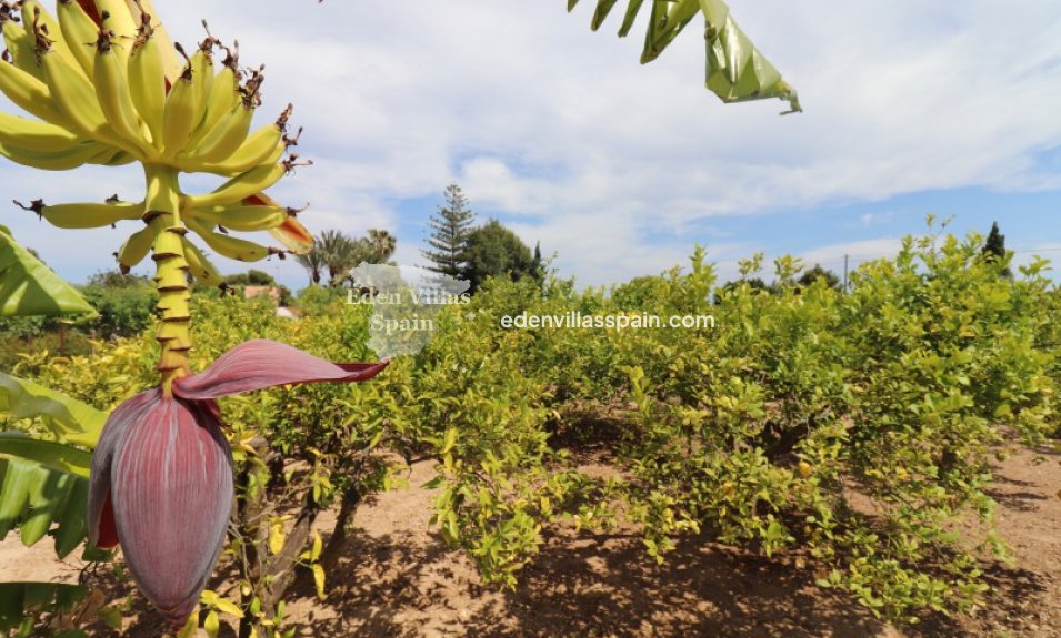 Resale - Country House - Santa Pola