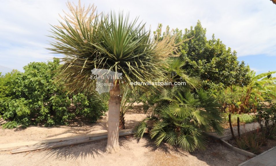 Resale - Country House - Santa Pola
