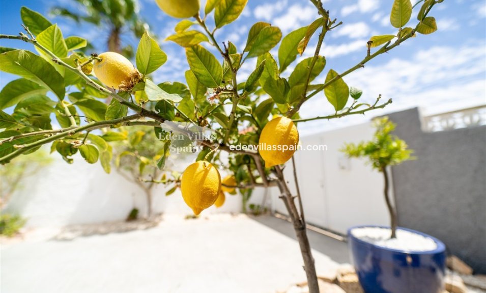 Resale - Urbanisation detached Villa - Torrevieja