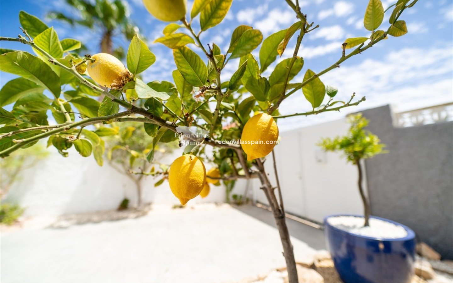 Resale - Urbanisation detached Villa - Torrevieja