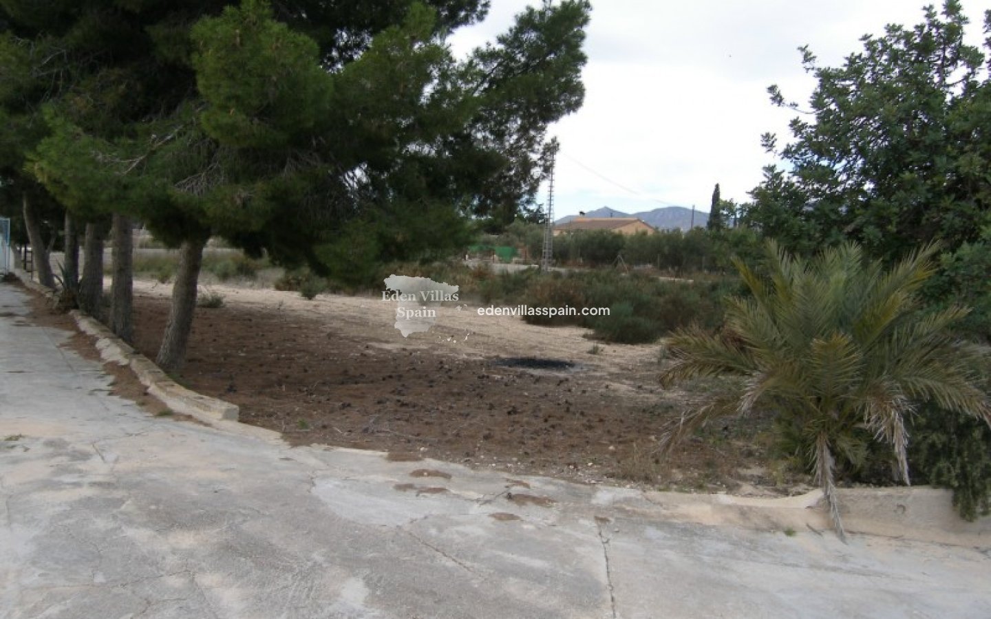 Revente - Maison de campagne - Elche