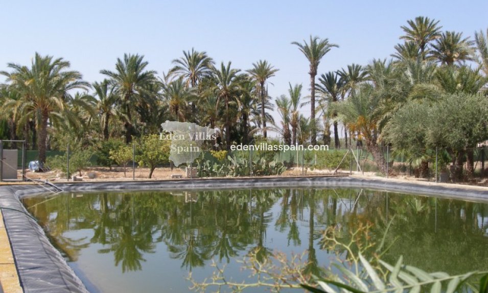 Revente - Maison de campagne - Elche