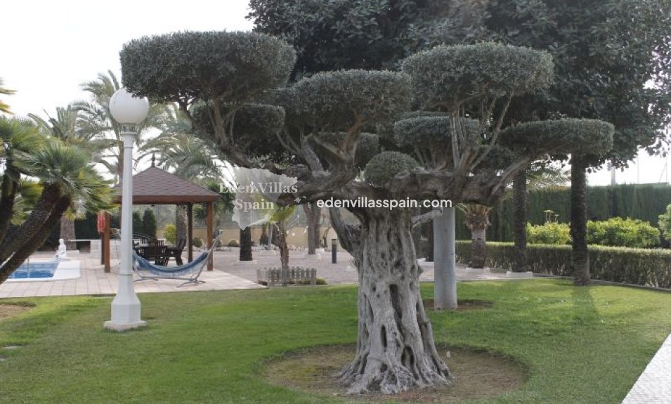 Revente - Maison de campagne - Elche