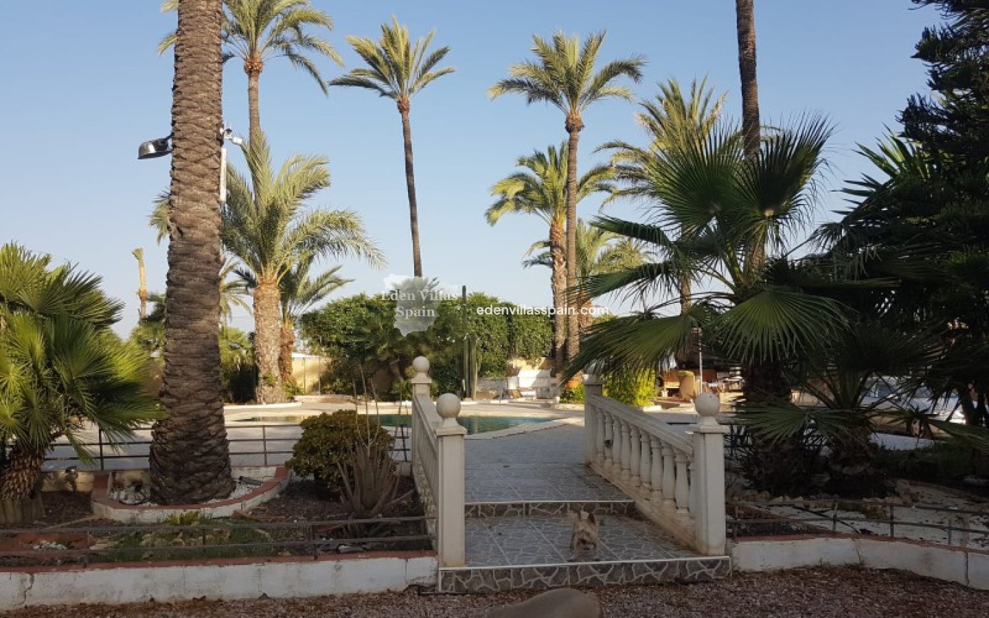 Revente - Maison de campagne - Elche