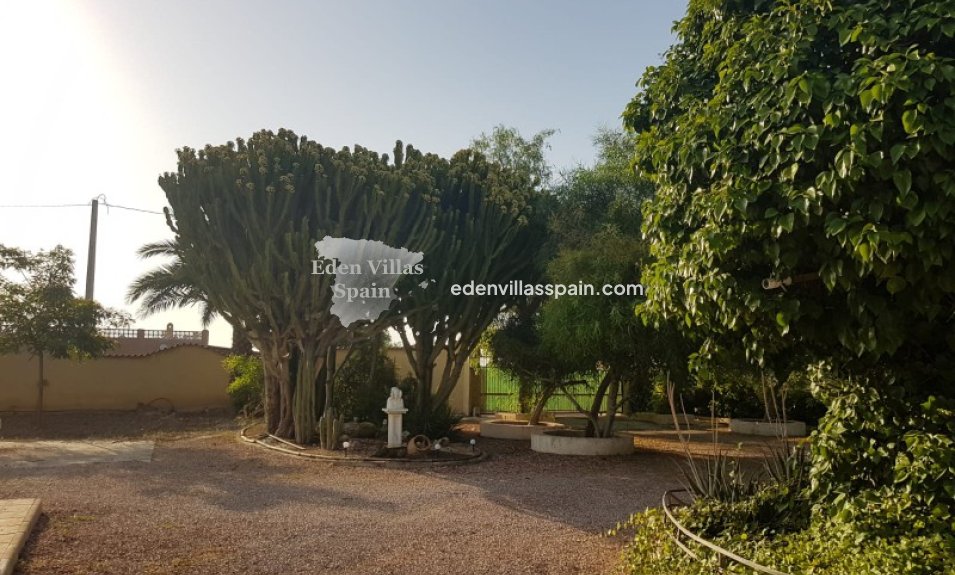 Revente - Maison de campagne - Elche